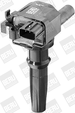 Picture of Ignition Coil - BorgWarner (BERU) - ZS262
