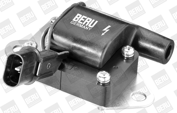 Picture of Ignition Coil - BorgWarner (BERU) - ZS263