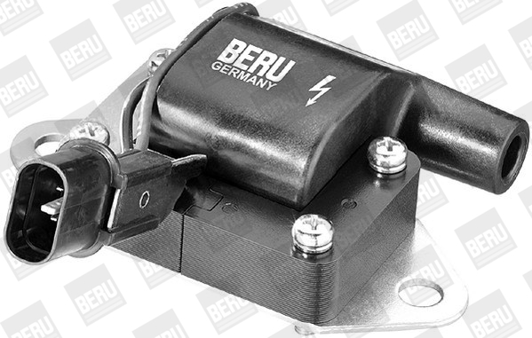 Picture of Ignition Coil - BorgWarner (BERU) - ZS263