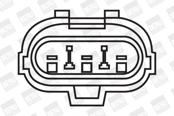 Picture of Ignition Coil - BorgWarner (BERU) - ZS264
