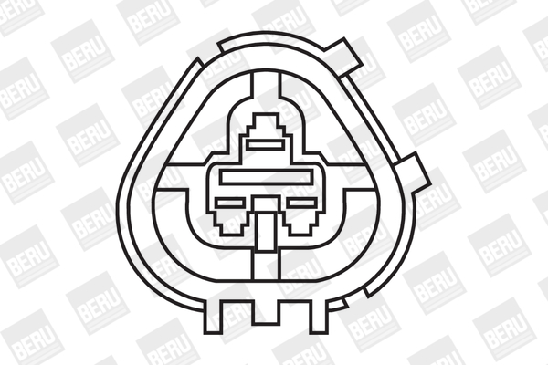 Picture of Ignition Coil - BorgWarner (BERU) - ZS266
