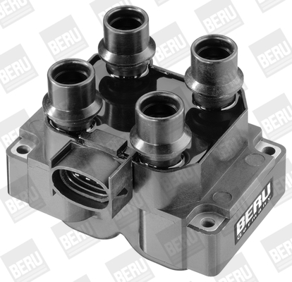 Picture of Ignition Coil - BorgWarner (BERU) - ZS281