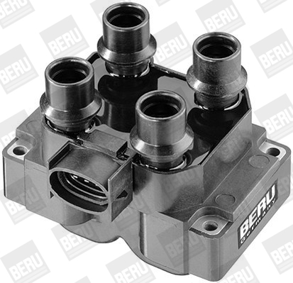 Picture of Ignition Coil - BorgWarner (BERU) - ZS281