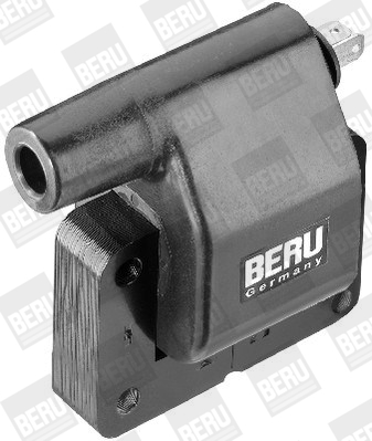 Picture of Ignition Coil - BorgWarner (BERU) - ZS282