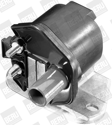 Picture of Ignition Coil - BorgWarner (BERU) - ZS296