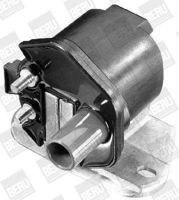 Picture of Ignition Coil - BorgWarner (BERU) - ZS298
