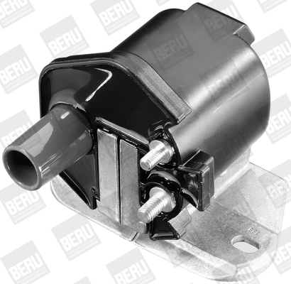 Picture of Ignition Coil - BorgWarner (BERU) - ZS299