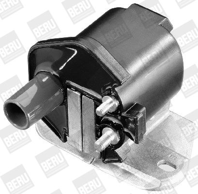 Picture of Ignition Coil - BorgWarner (BERU) - ZS299