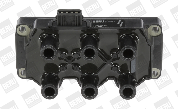 Picture of Ignition Coil - BorgWarner (BERU) - ZS301