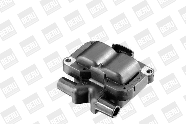 Picture of Ignition Coil - BorgWarner (BERU) - ZS304