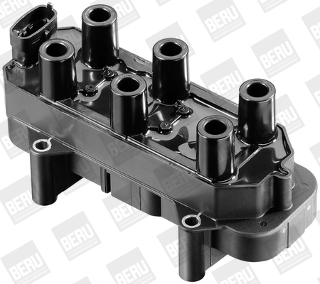 Picture of Ignition Coil - BorgWarner (BERU) - ZS306