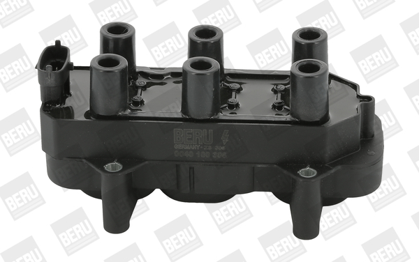 Picture of Ignition Coil - BorgWarner (BERU) - ZS306