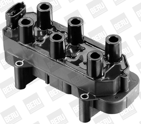 Picture of Ignition Coil - BorgWarner (BERU) - ZS306