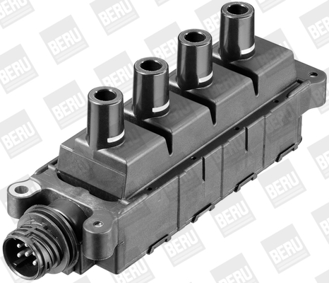 Picture of Ignition Coil - BorgWarner (BERU) - ZS307