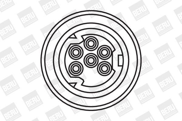 Picture of Ignition Coil - BorgWarner (BERU) - ZS307