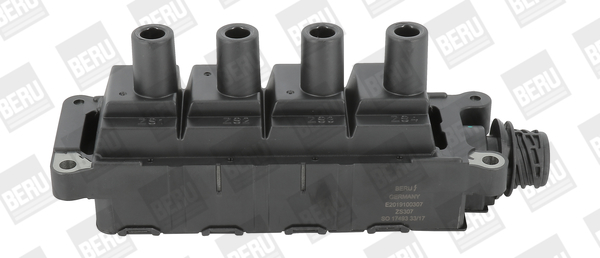 Picture of BorgWarner (BERU) - ZS307