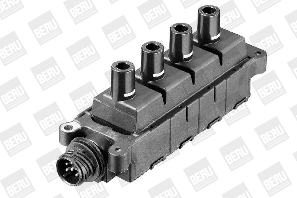 Picture of Ignition Coil - BorgWarner (BERU) - ZS307