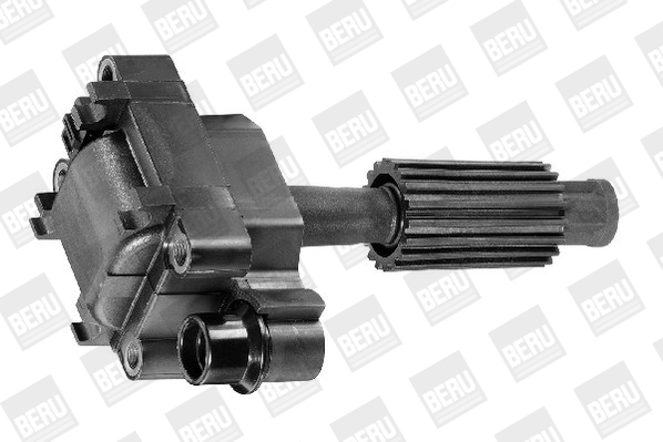 Picture of Ignition Coil - BorgWarner (BERU) - ZS308