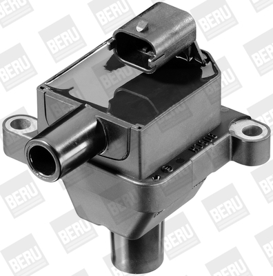 Picture of Ignition Coil - BorgWarner (BERU) - ZS309