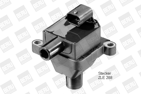 Picture of Ignition Coil - BorgWarner (BERU) - ZS309