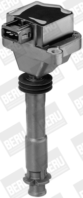 Picture of Ignition Coil - BorgWarner (BERU) - ZS310