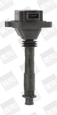 Picture of Ignition Coil - BorgWarner (BERU) - ZS310