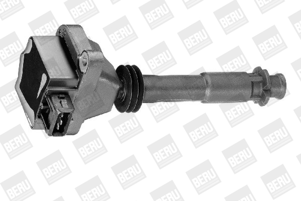 Picture of Ignition Coil - BorgWarner (BERU) - ZS310