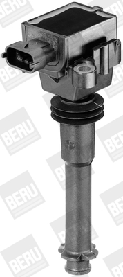 Picture of Ignition Coil - BorgWarner (BERU) - ZS311