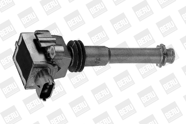 Picture of Ignition Coil - BorgWarner (BERU) - ZS311