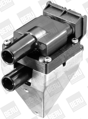 Picture of Ignition Coil - BorgWarner (BERU) - ZS313