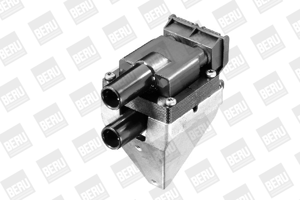 Picture of Ignition Coil - BorgWarner (BERU) - ZS313