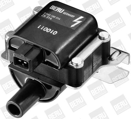 Picture of Ignition Coil - BorgWarner (BERU) - ZS314