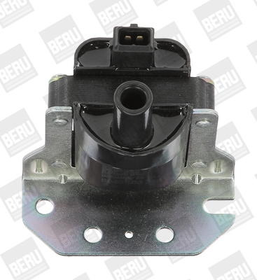 Picture of Ignition Coil - BorgWarner (BERU) - ZS314