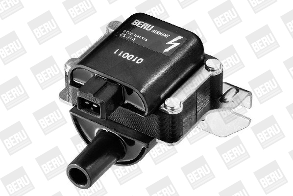 Picture of Ignition Coil - BorgWarner (BERU) - ZS314