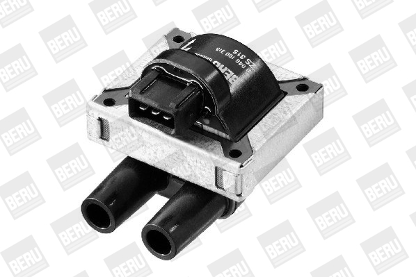 Picture of Ignition Coil - BorgWarner (BERU) - ZS315