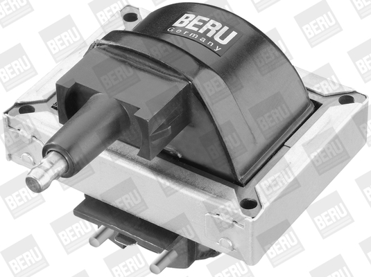 Picture of Ignition Coil - BorgWarner (BERU) - ZS316