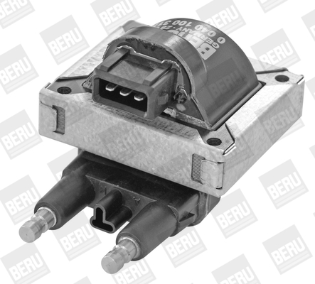 Picture of Ignition Coil - BorgWarner (BERU) - ZS317