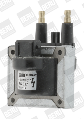 Picture of Ignition Coil - BorgWarner (BERU) - ZS317