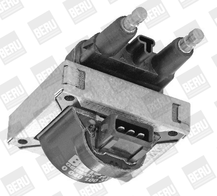 Picture of Ignition Coil - BorgWarner (BERU) - ZS317