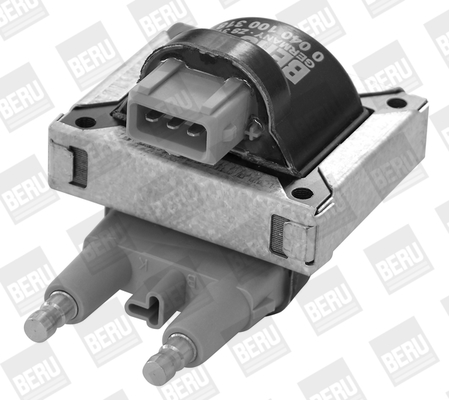 Picture of Ignition Coil - BorgWarner (BERU) - ZS318