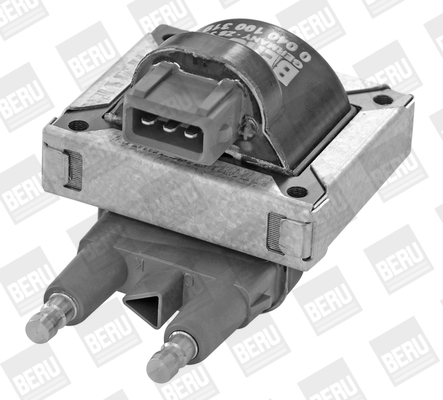 Picture of Ignition Coil - BorgWarner (BERU) - ZS319
