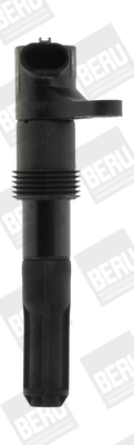 Picture of Ignition Coil - BorgWarner (BERU) - ZS321