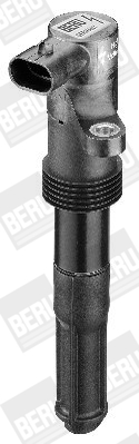 Picture of Ignition Coil - BorgWarner (BERU) - ZS321