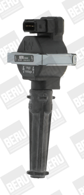 Picture of Ignition Coil - BorgWarner (BERU) - ZS323