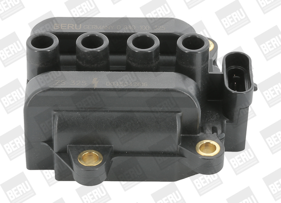 Picture of Ignition Coil - BorgWarner (BERU) - ZS325