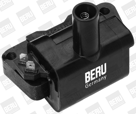 Picture of Ignition Coil - BorgWarner (BERU) - ZS326