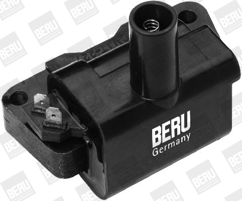 Picture of Ignition Coil - BorgWarner (BERU) - ZS326