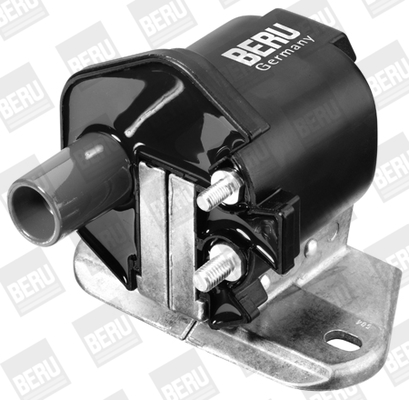 Picture of Ignition Coil - BorgWarner (BERU) - ZS339