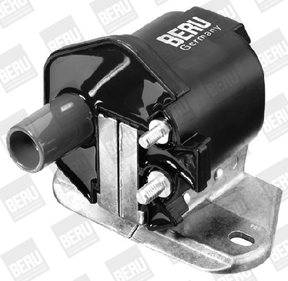 Picture of Ignition Coil - BorgWarner (BERU) - ZS339
