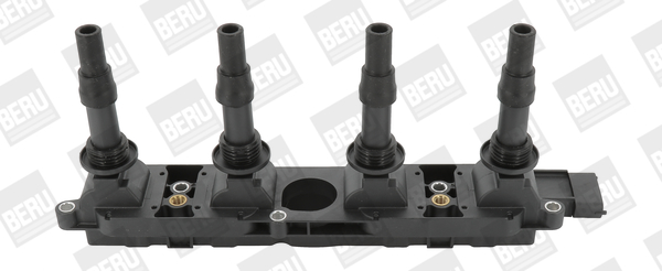 Picture of Ignition Coil - BorgWarner (BERU) - ZS342